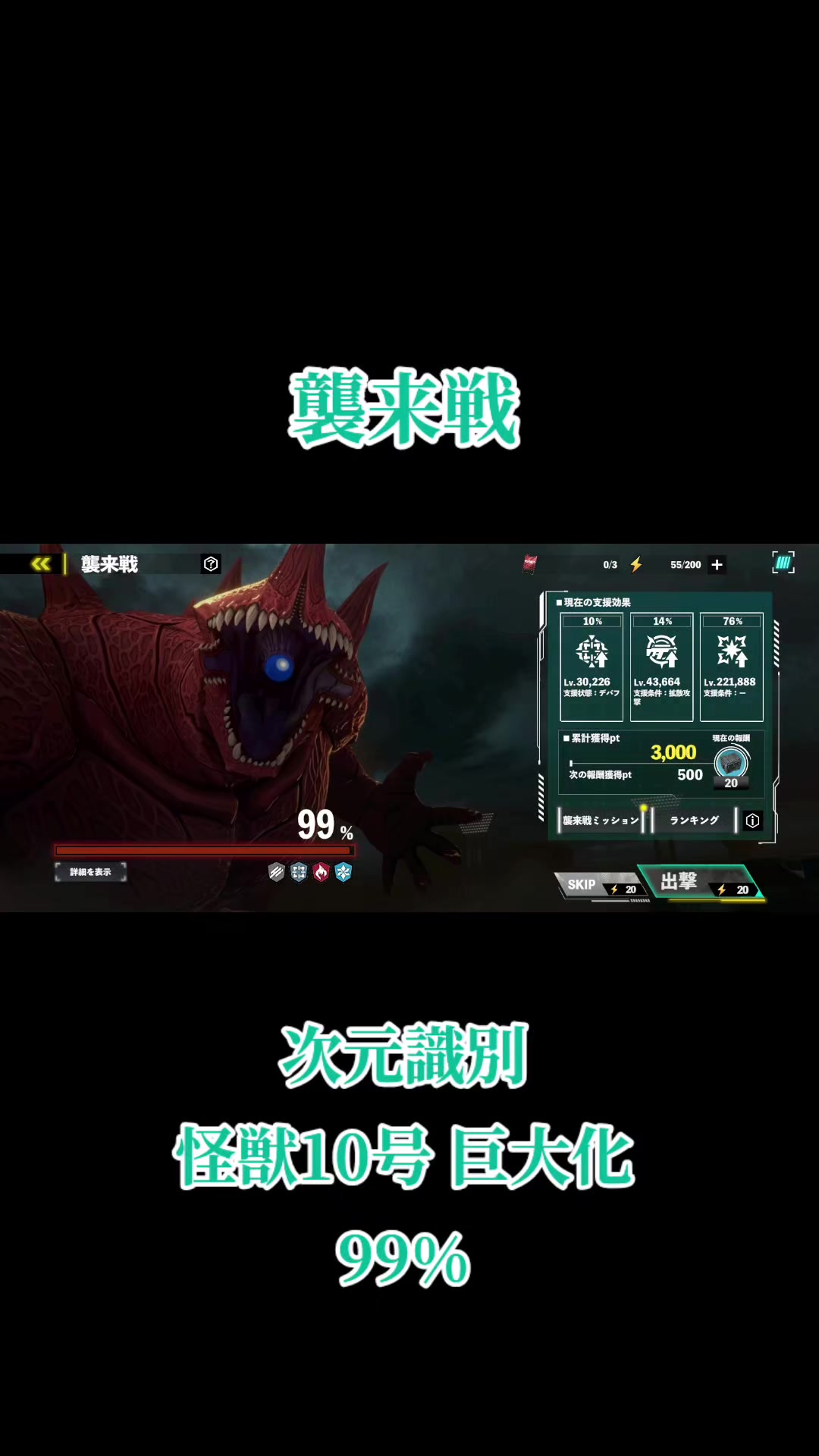 @猫