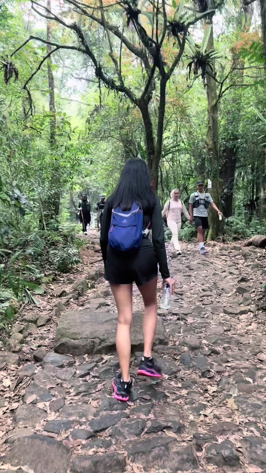 @kula
