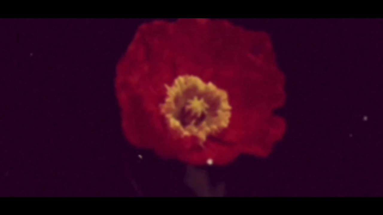 @zrosiez
