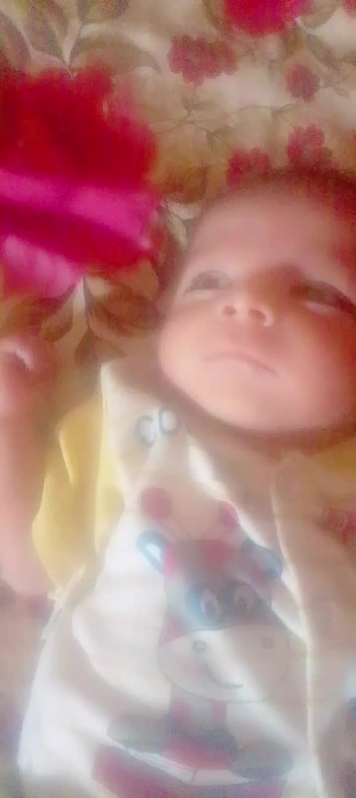 @abbasi