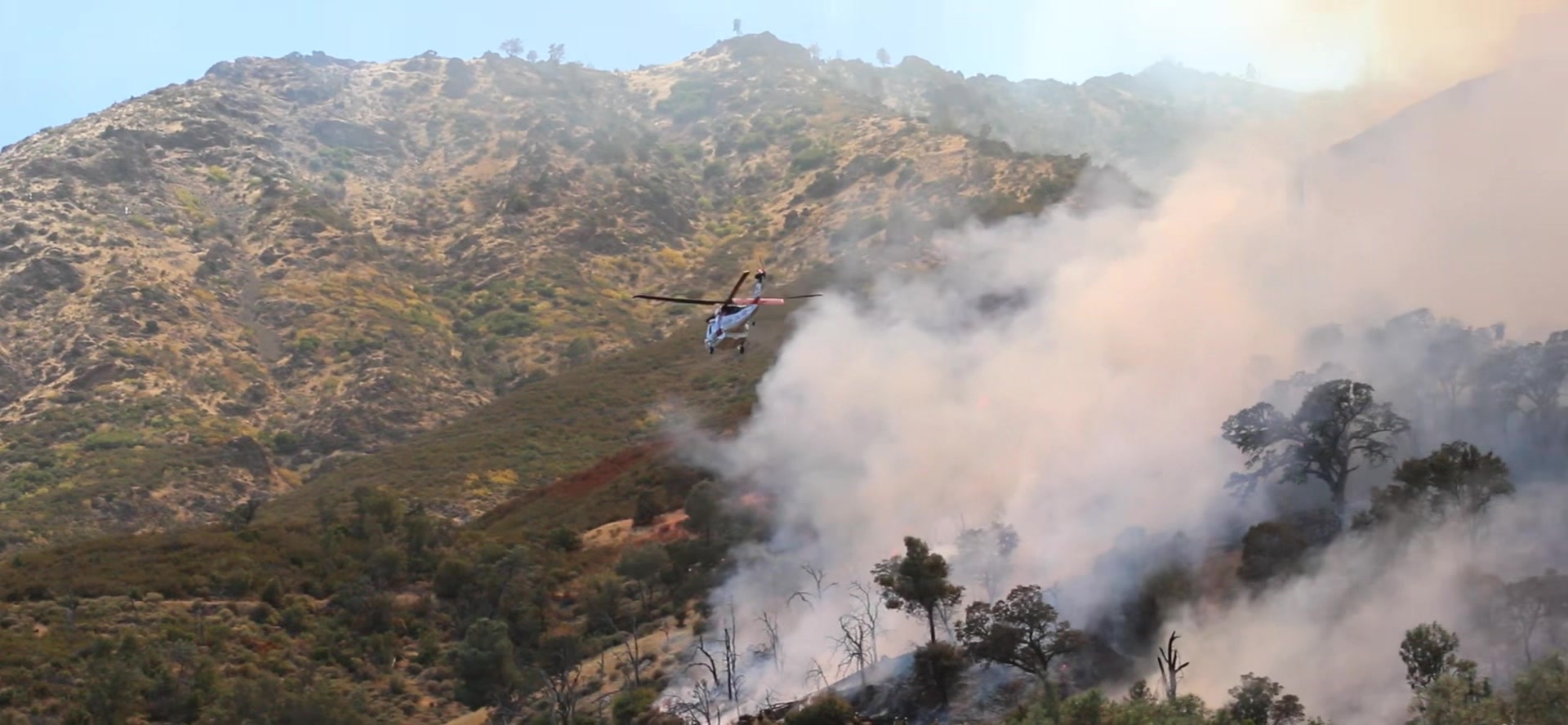@calfire.hub