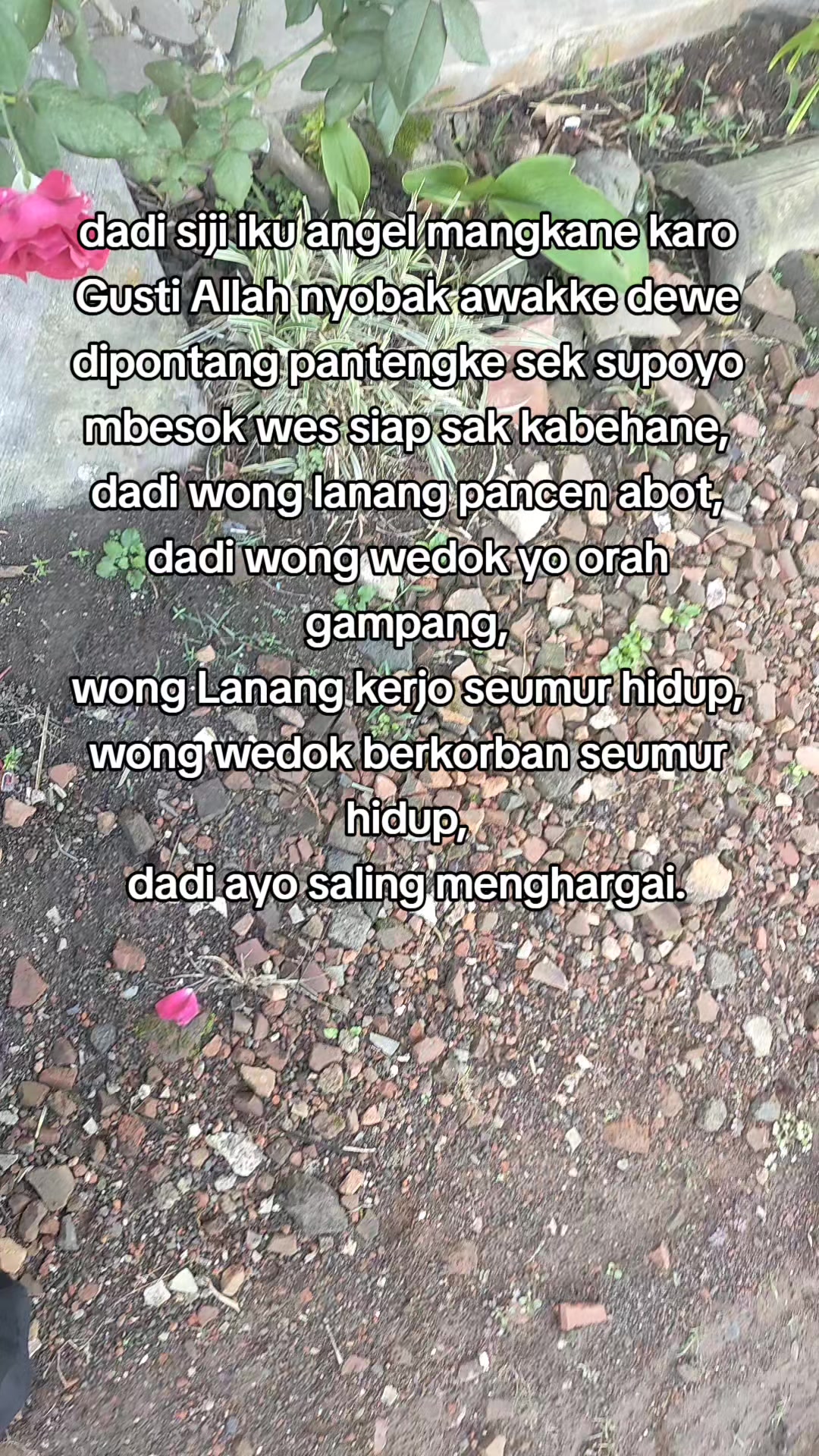 @Rohmatul A2