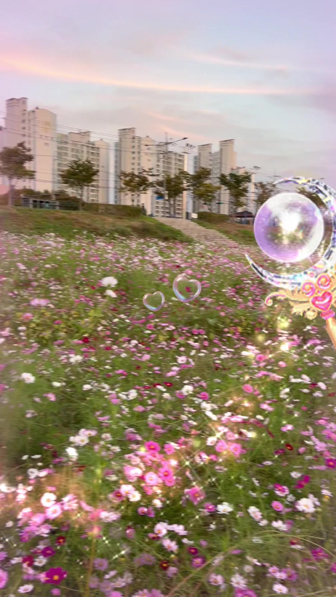 @고금석