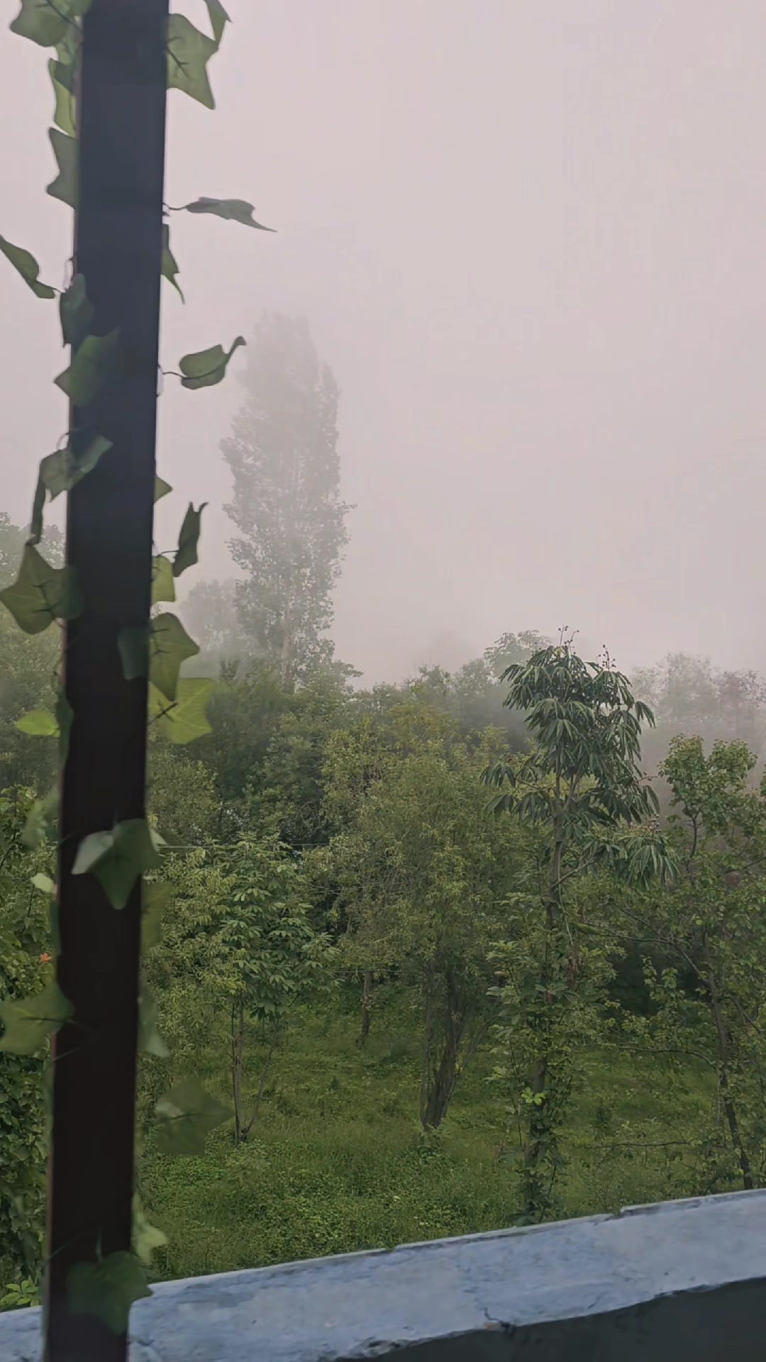 @ₒᵣdᵢₙₐᵣy⛰️ₜᵣₐᵥₑₗₗₑᵣ