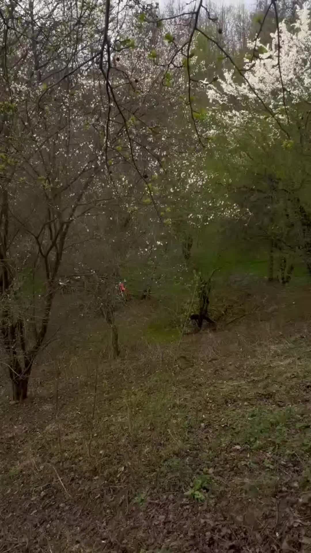 @ENDURO_POLAND