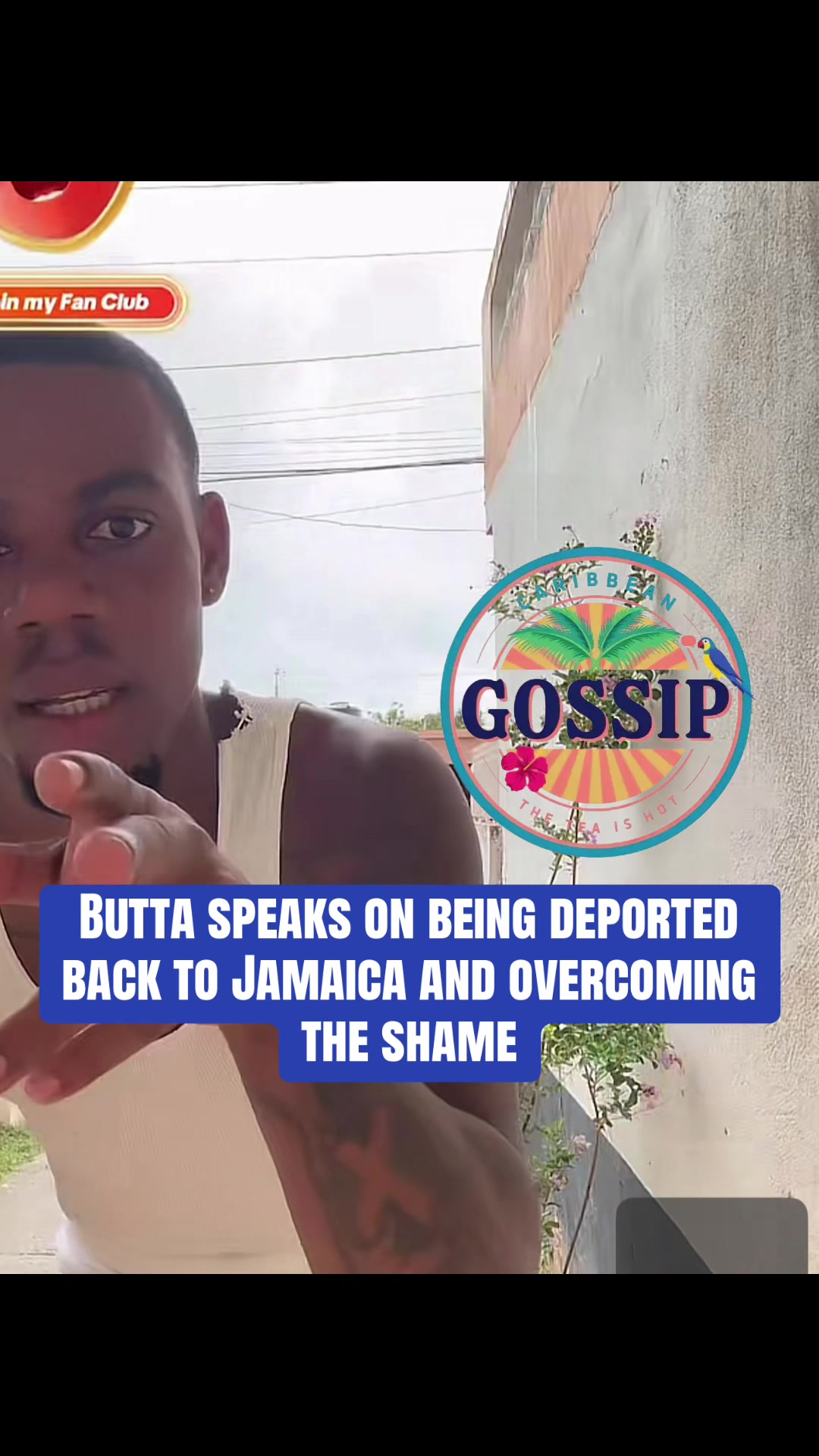 @✨Caribbean Gossip✨
