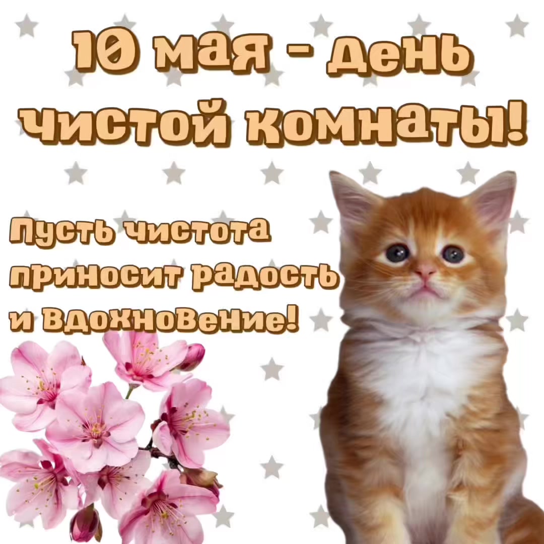 @котики на каждый день