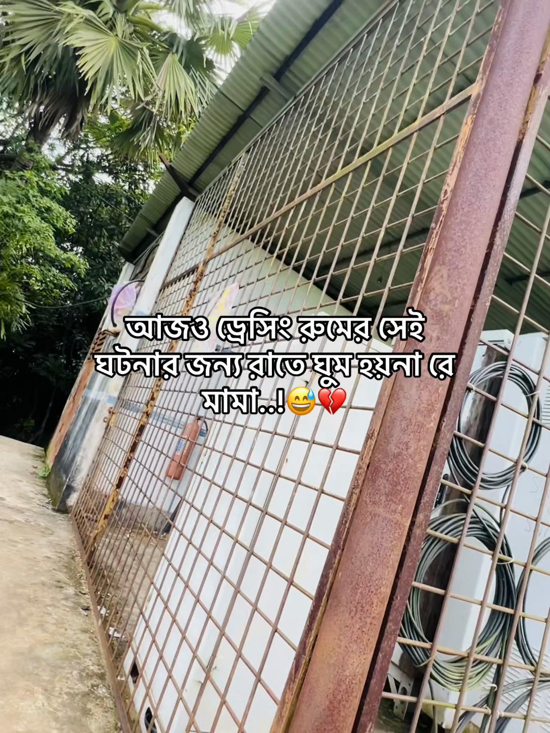 @টিক-টিকি