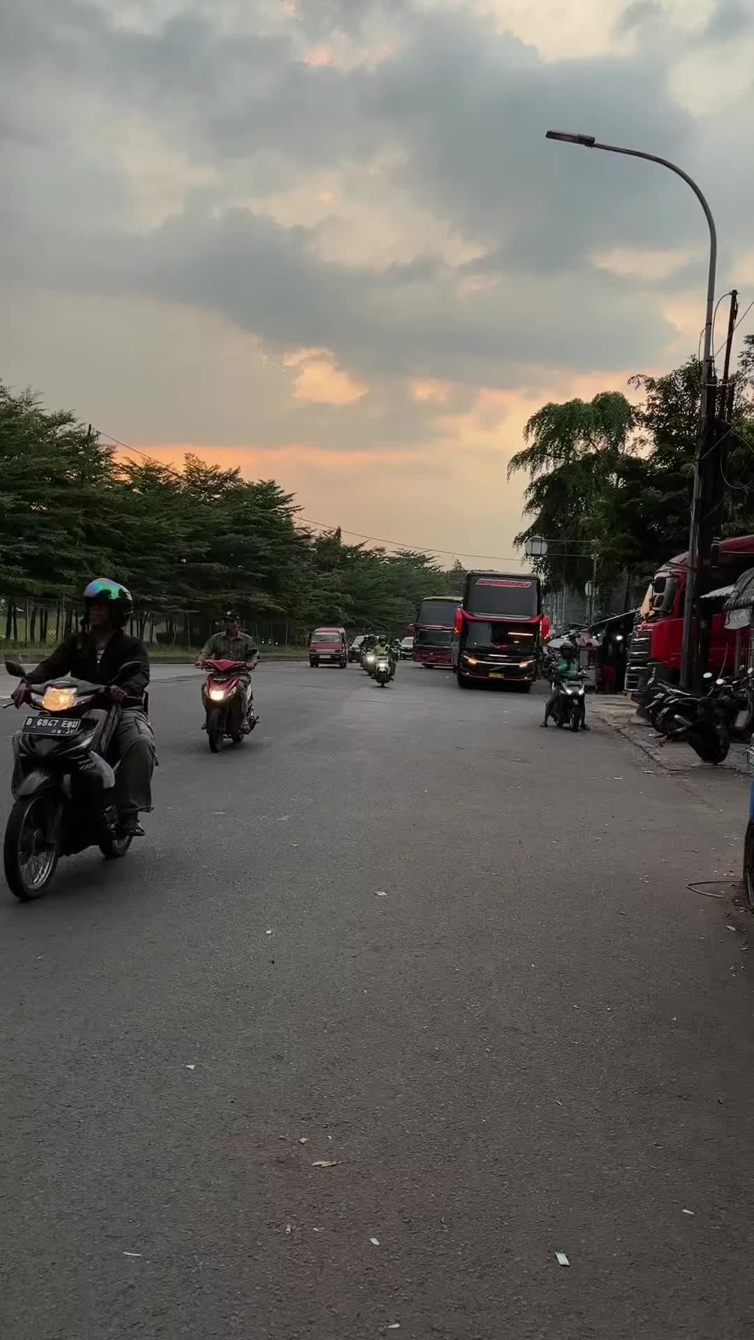 @pembasmi kecoa terbang