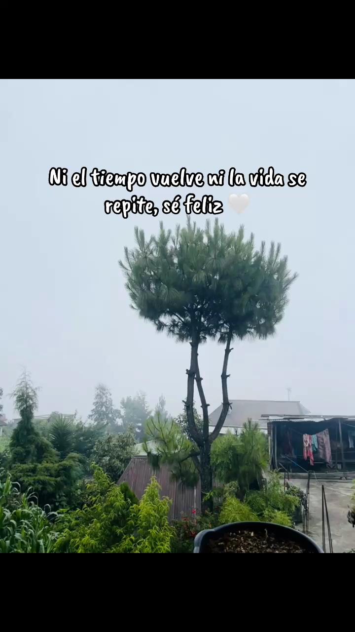 @Bela🩵🇬🇹