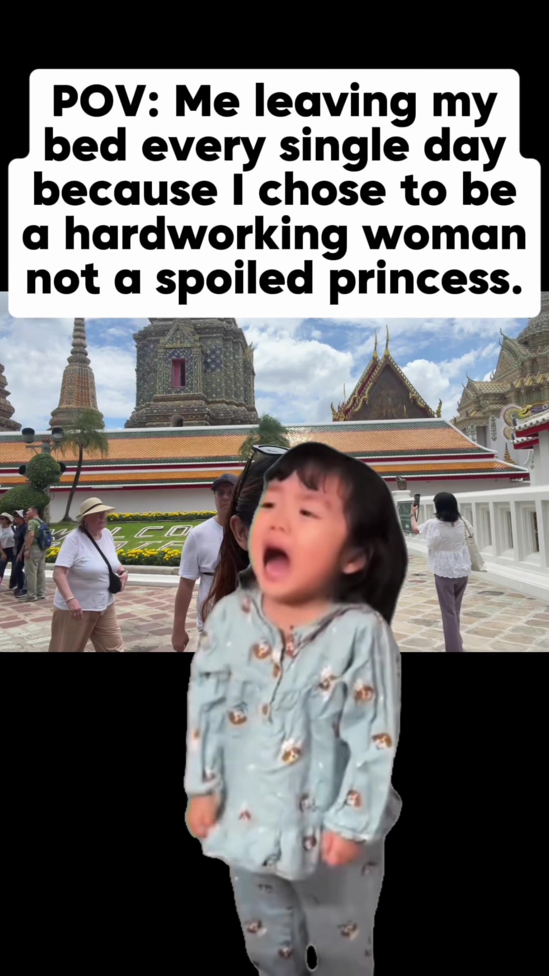 @๐๐ธ๐ฟ๐ฎ ๐๐พ๐พ๐ป๐ฏ๐๐งโก๐งฟ