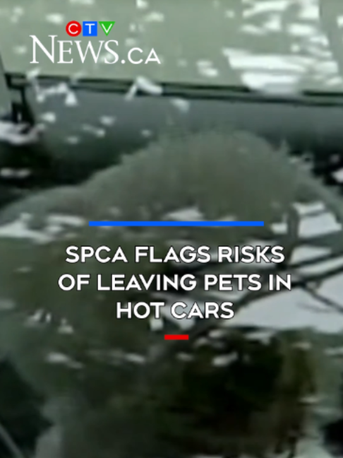 @CTV News Vancouver Island