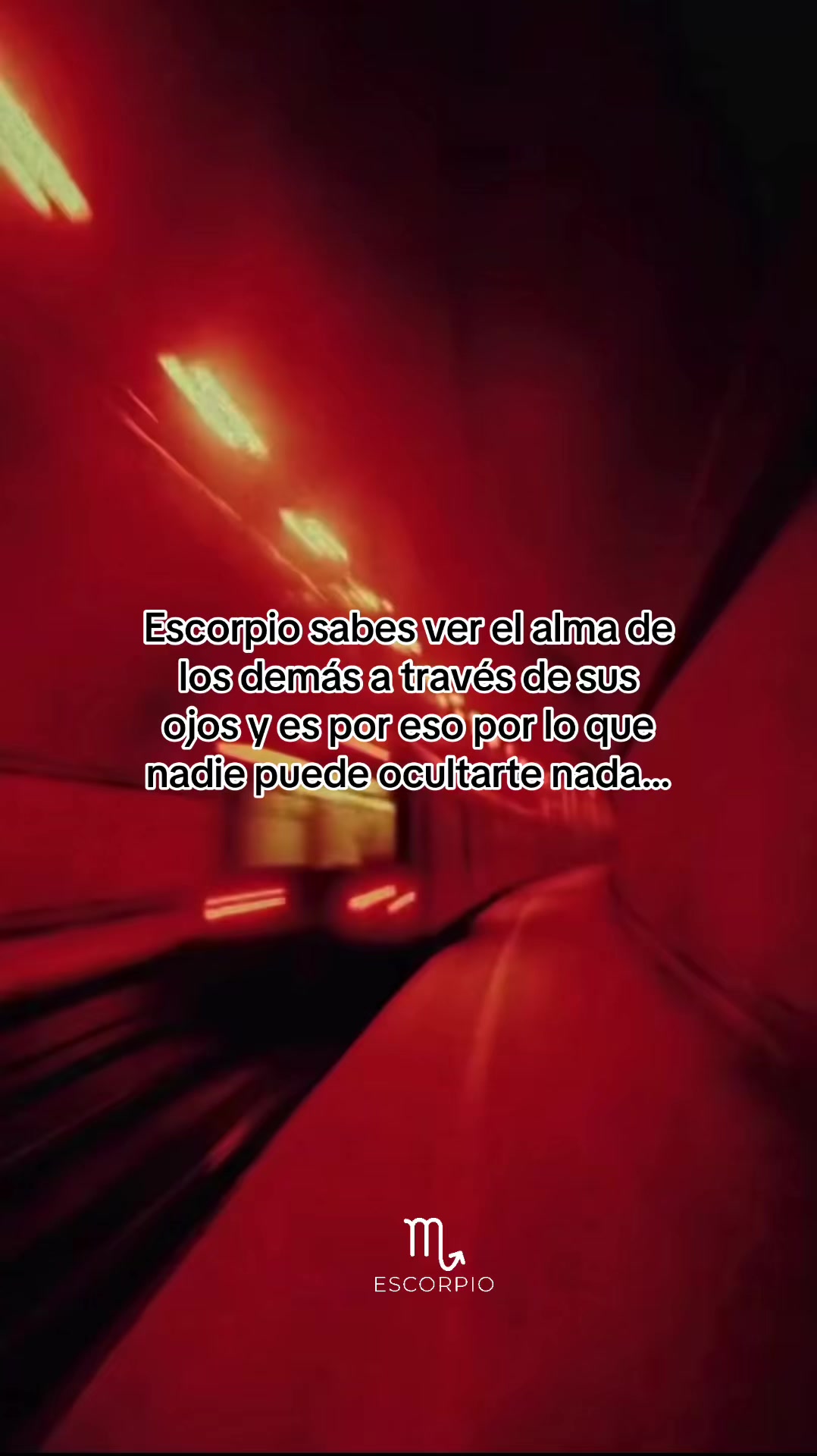 @Manada Escorpiana ✨