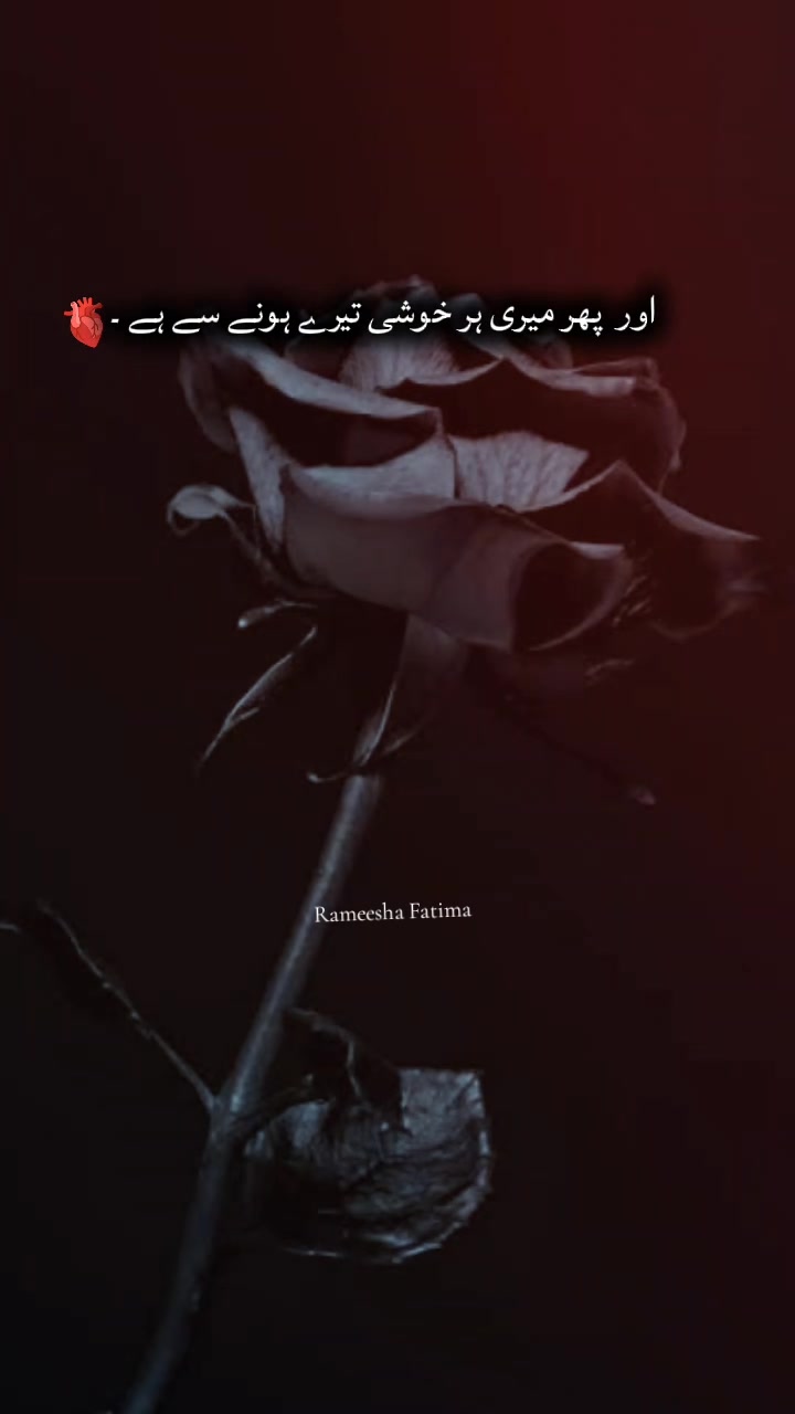 @Rameesha Fatima