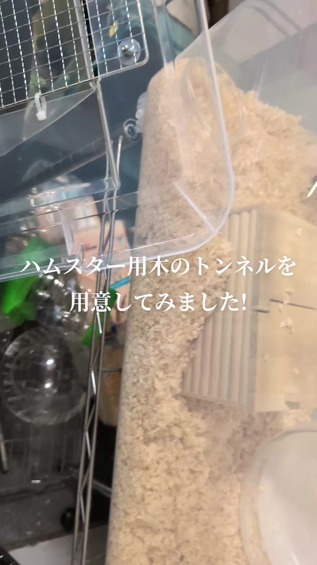 @K・B・M