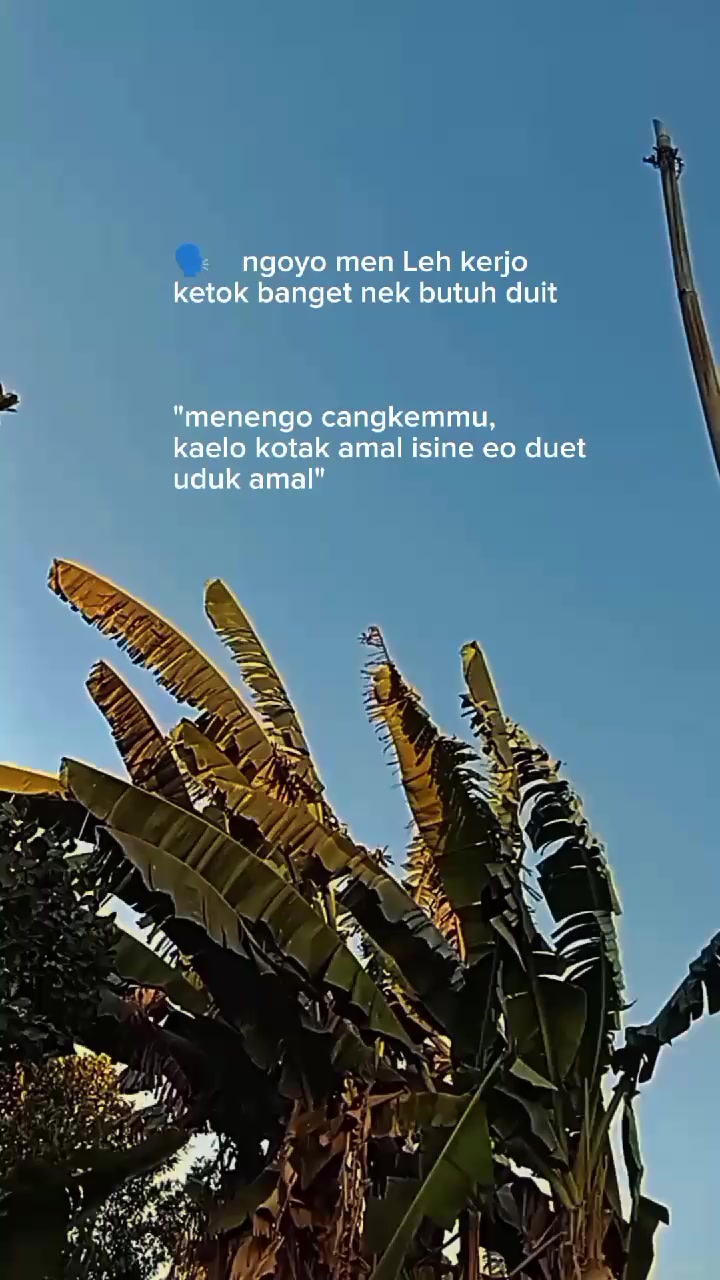 @JOWO STORY🥀