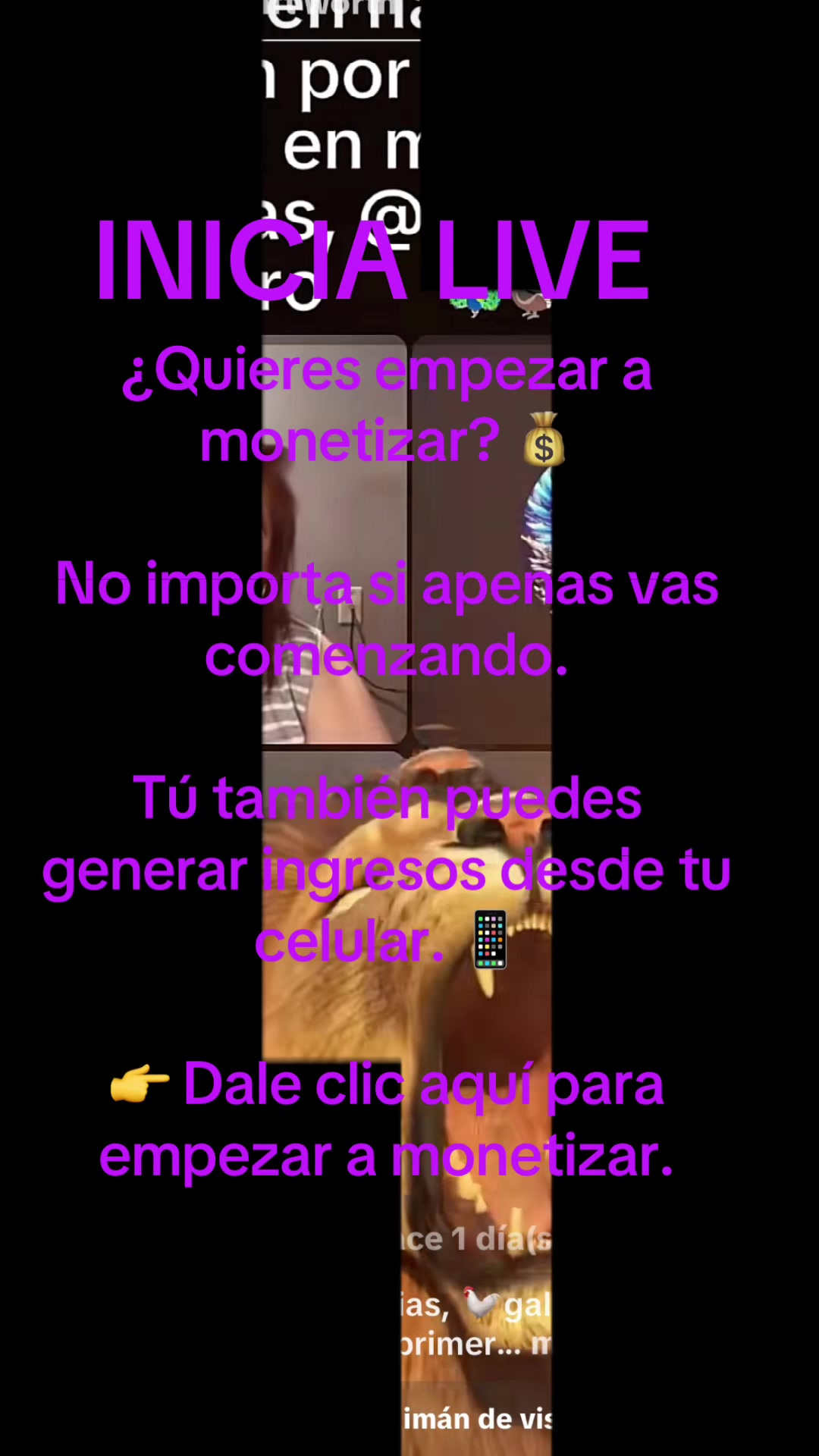 @🎙️LULU🎙️🦚🦃🦒