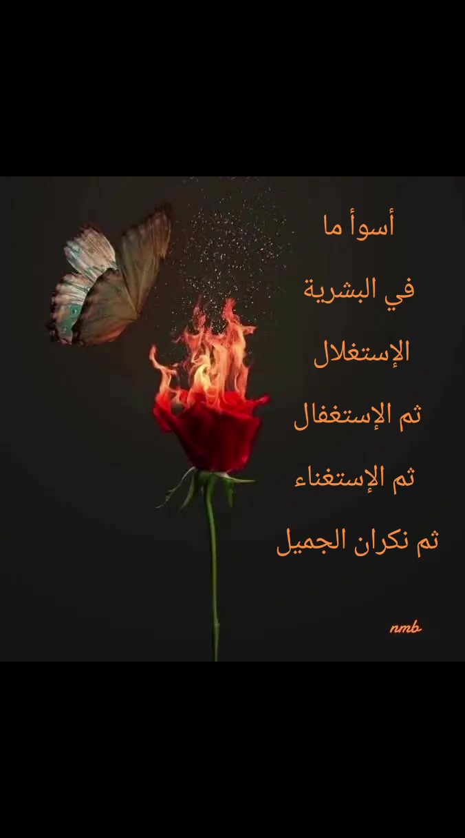 @🌬شِبيهة الريح@