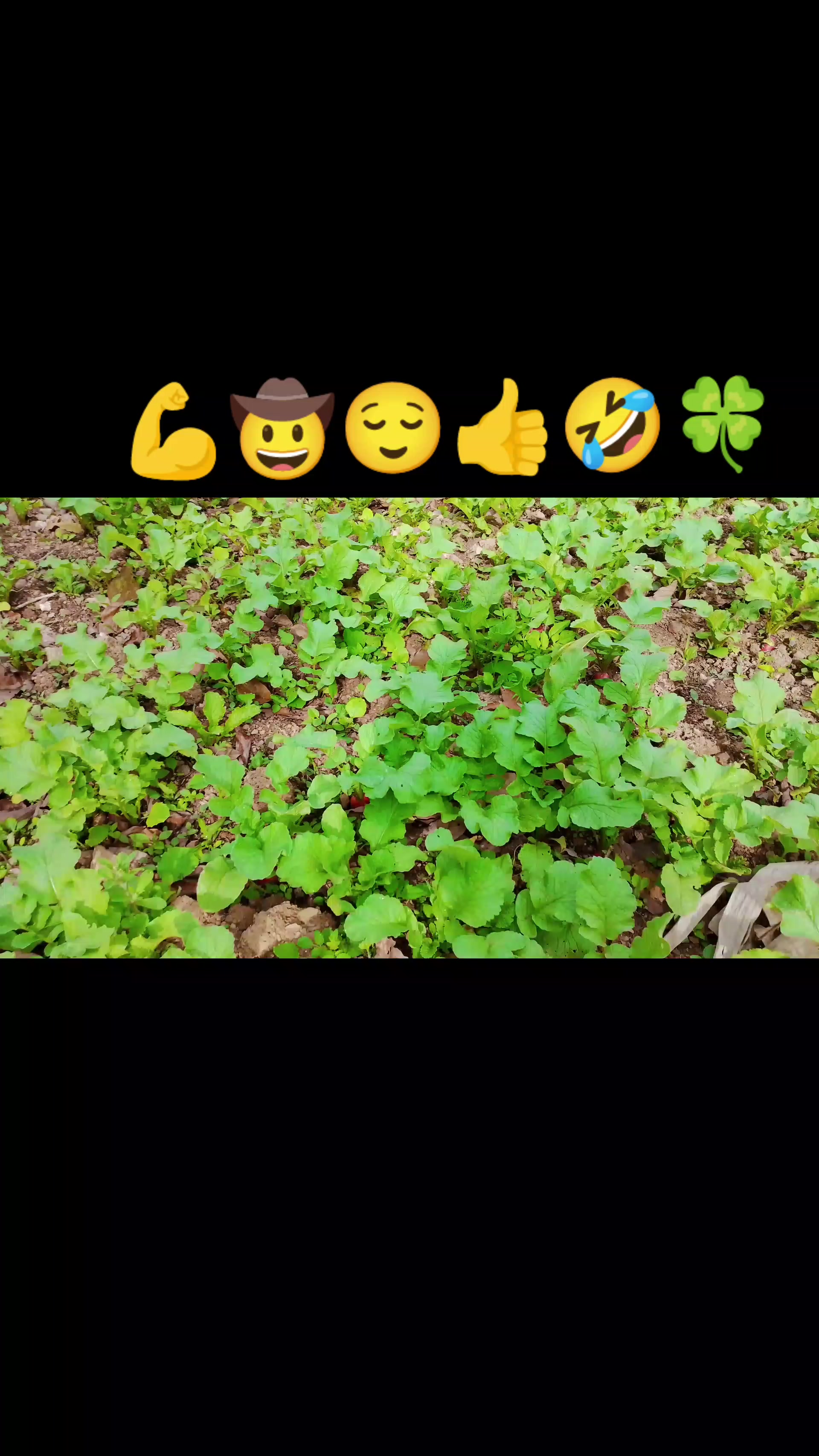 @Santos Aquino
