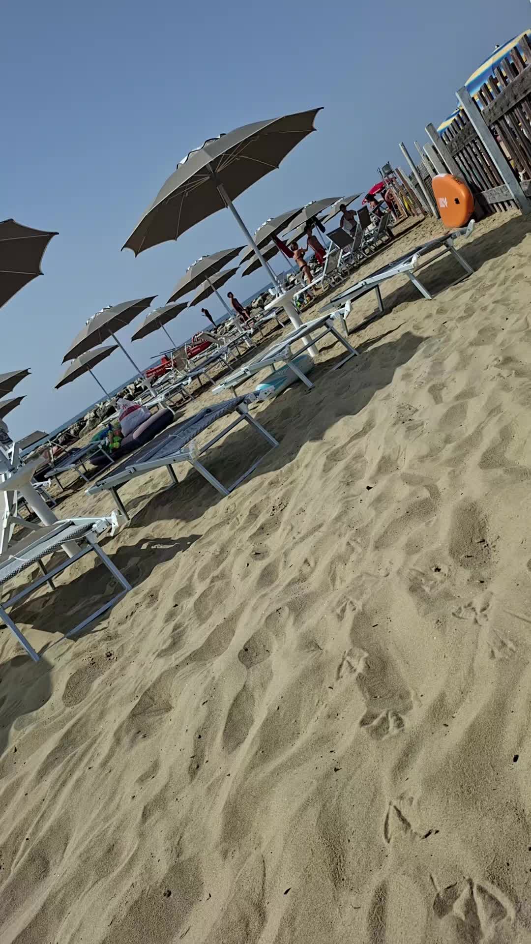 @꧁•♡ᏚťёԲꪋ𝗇ĩꪋ ♡•꧂