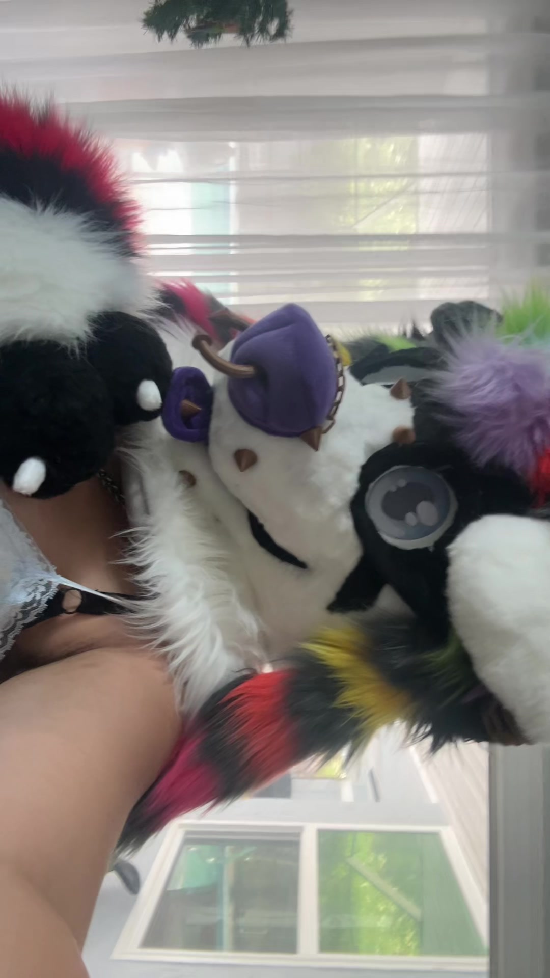 @🪽🌈 HOUND 🔜 MEGAPLEX 🐾