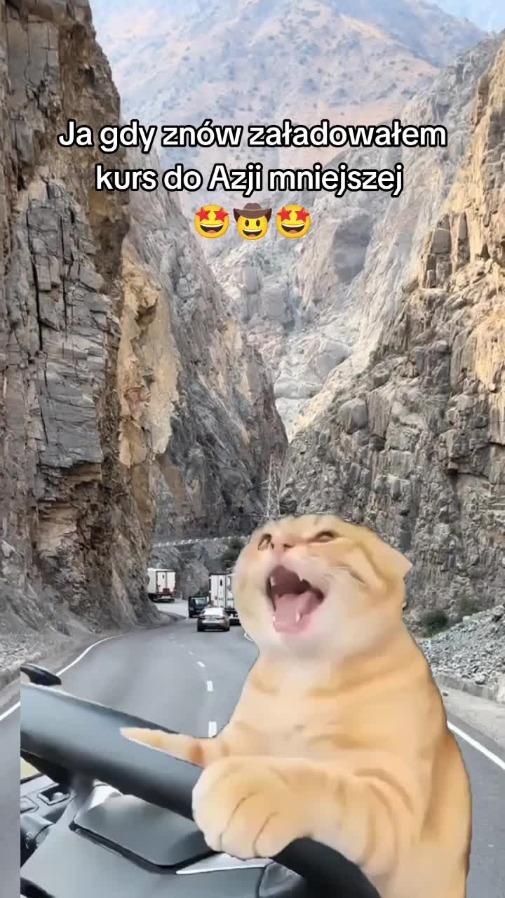 @Jeep🤪Nięty 🚛🇵🇱🇹🇷