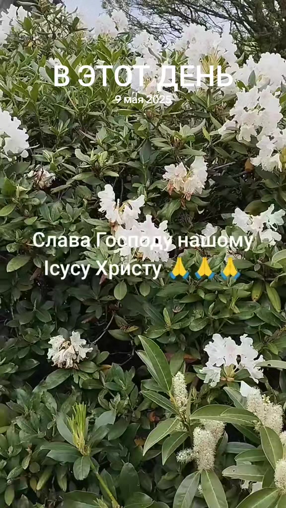 @Оксана🌺❣️