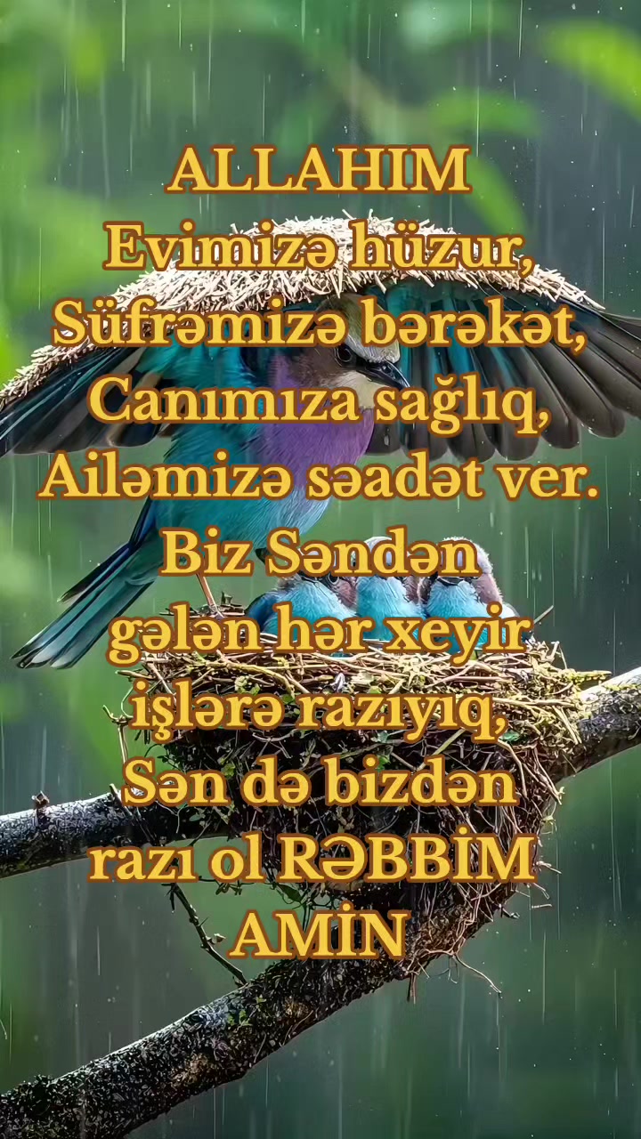 @DİNİM İSLAM