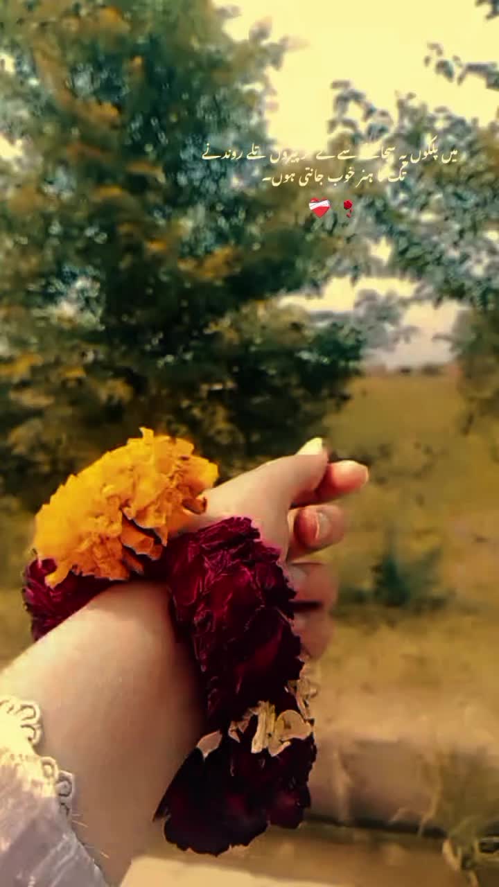 @muqadas__maria