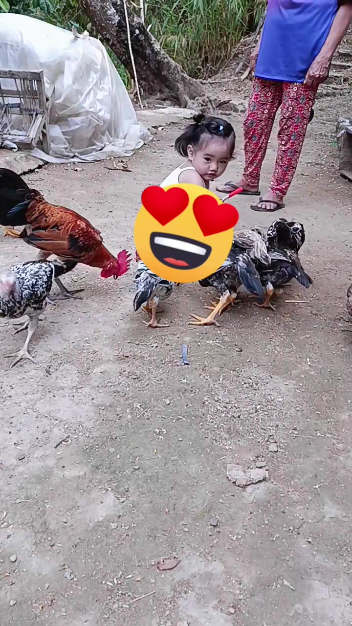 @Tit Sher