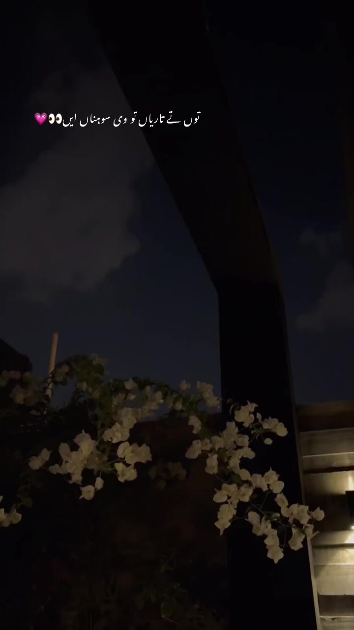 @~𝓢𝓱𝓪𝓶𝓹𝔂⏤͟͟͞͞. 𐙚⋆🌚💗