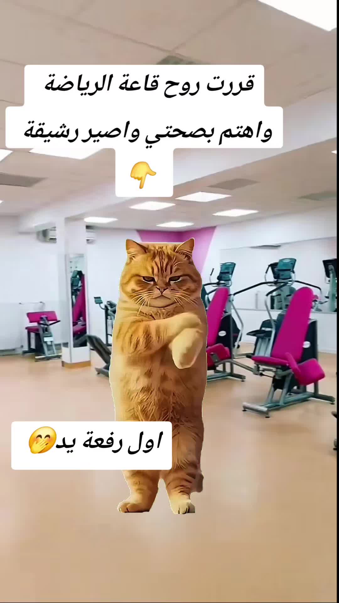 @zinett zinett