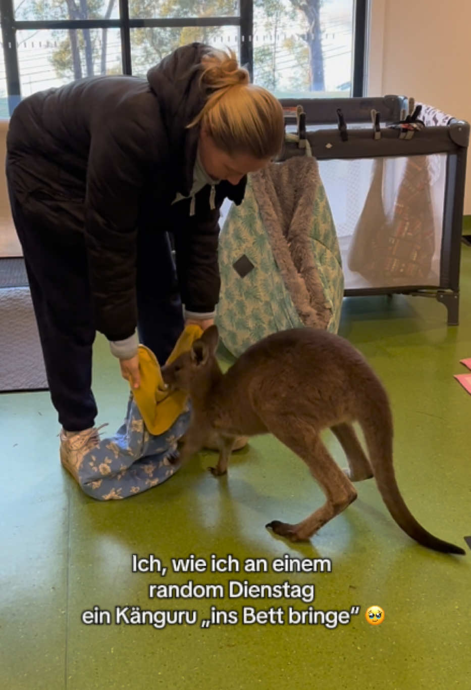 @Monacel in Australien ๐ฆ๐บ