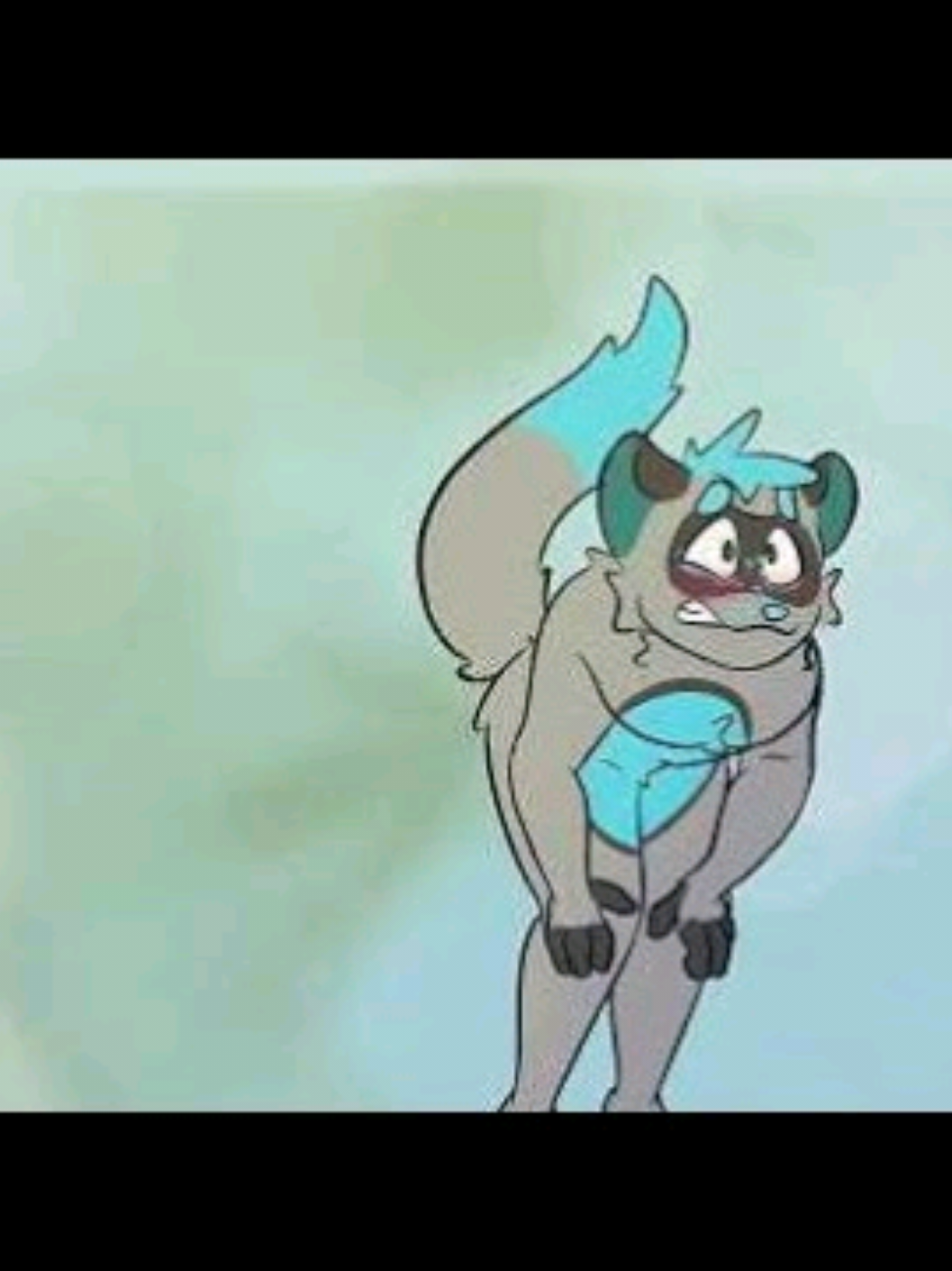 @Gatinho