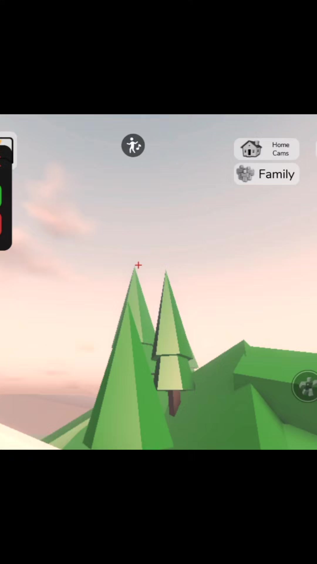 @Roblox_player