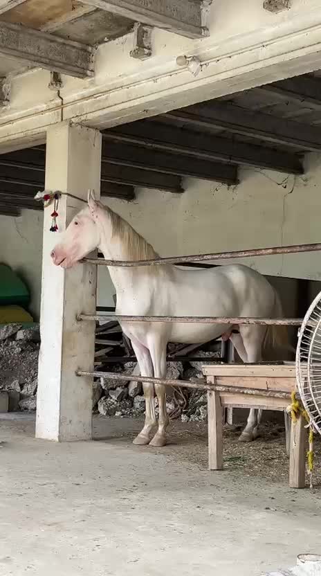 @Farasat Ali Ranjha Awan