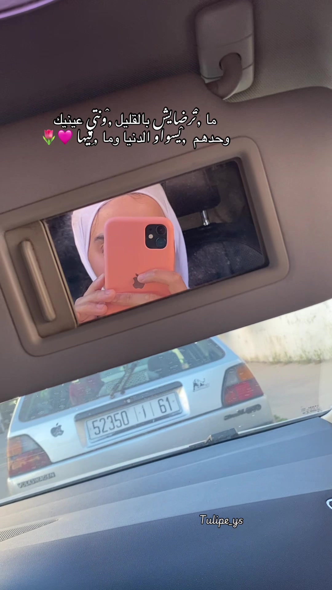 @tulipe_ys