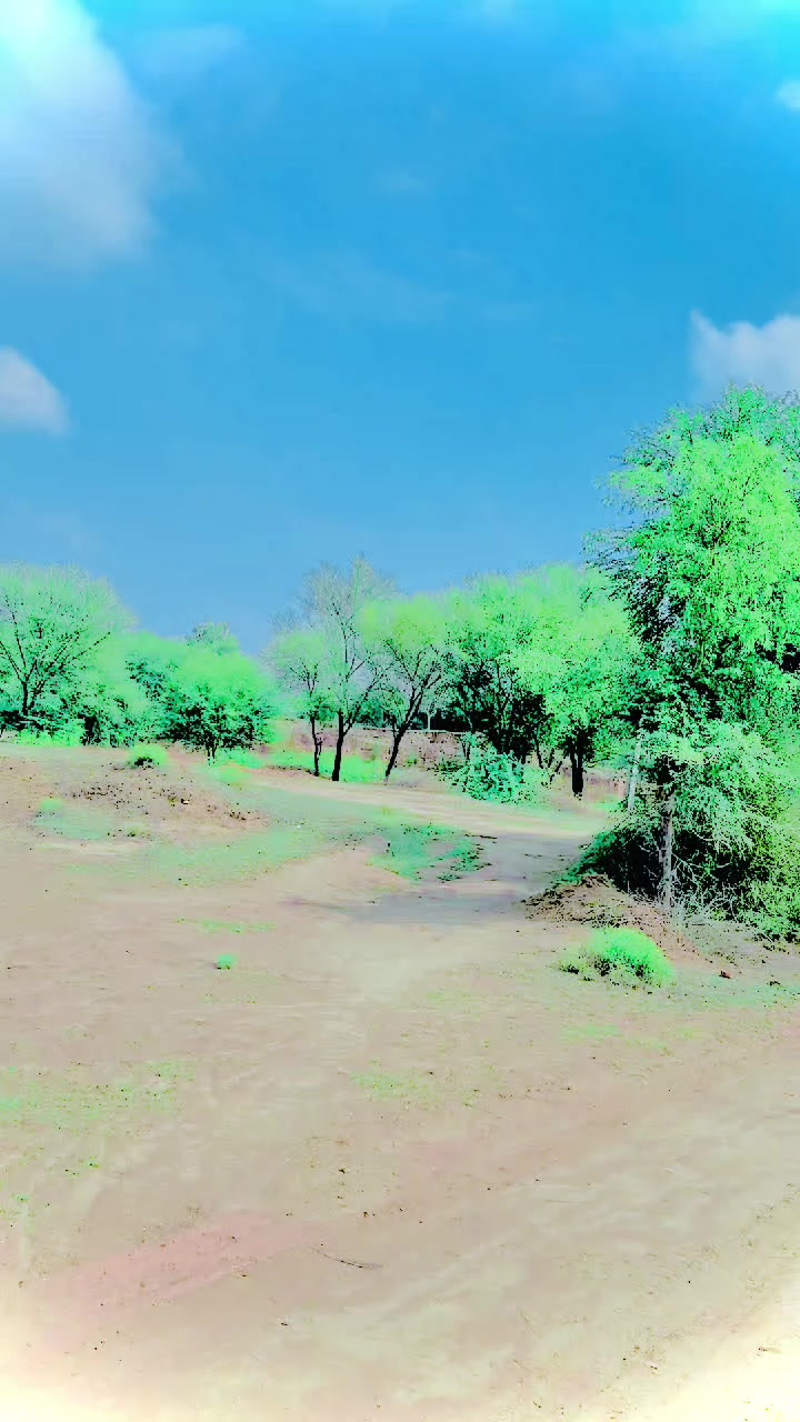 @Rashidkhanniazi71