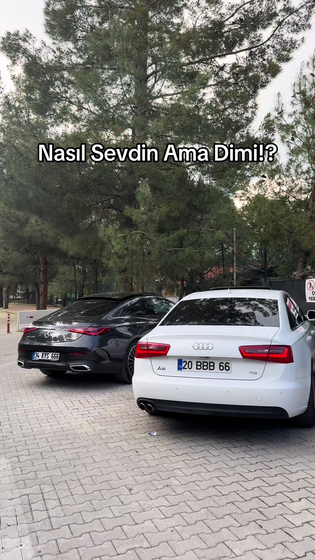 @Ali Kuş
