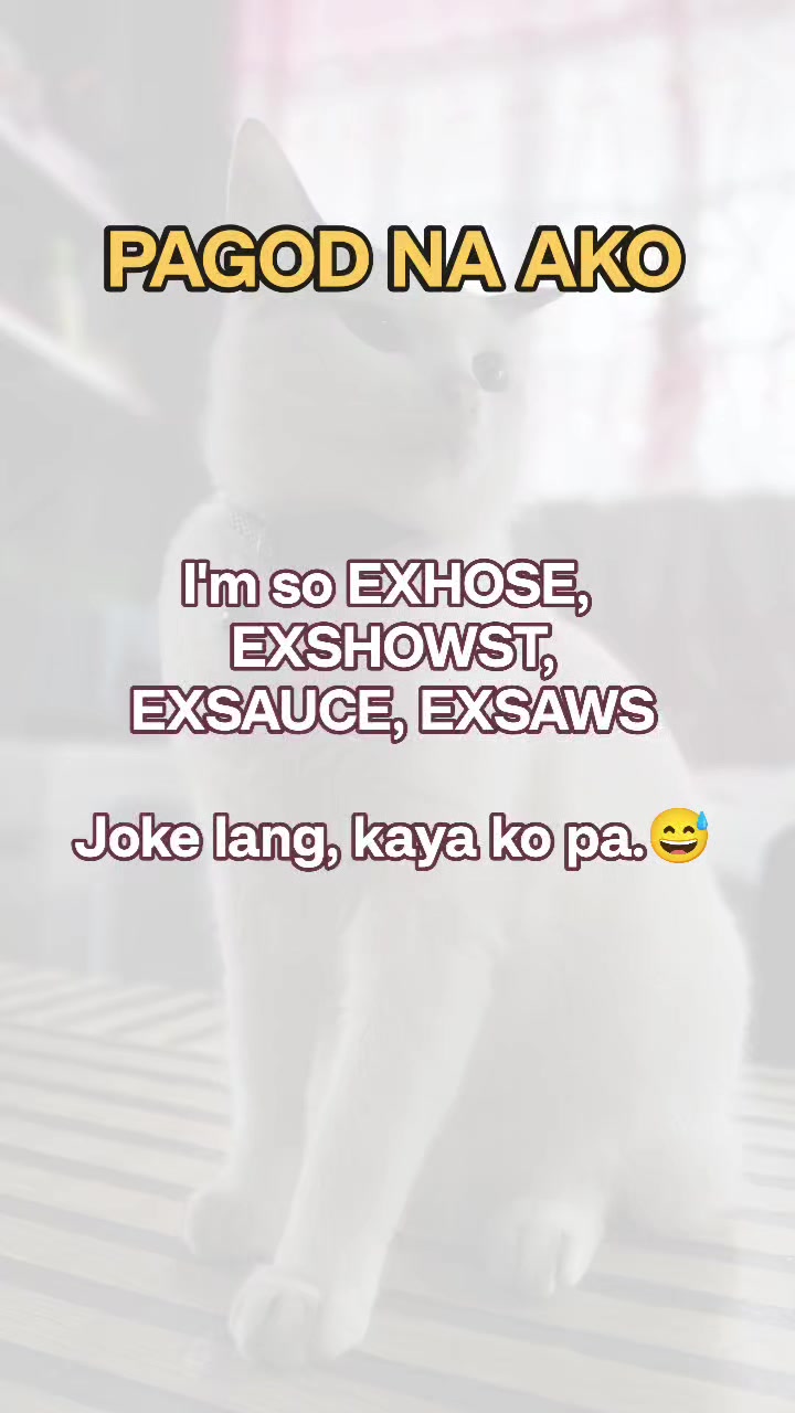 @Ma Ria