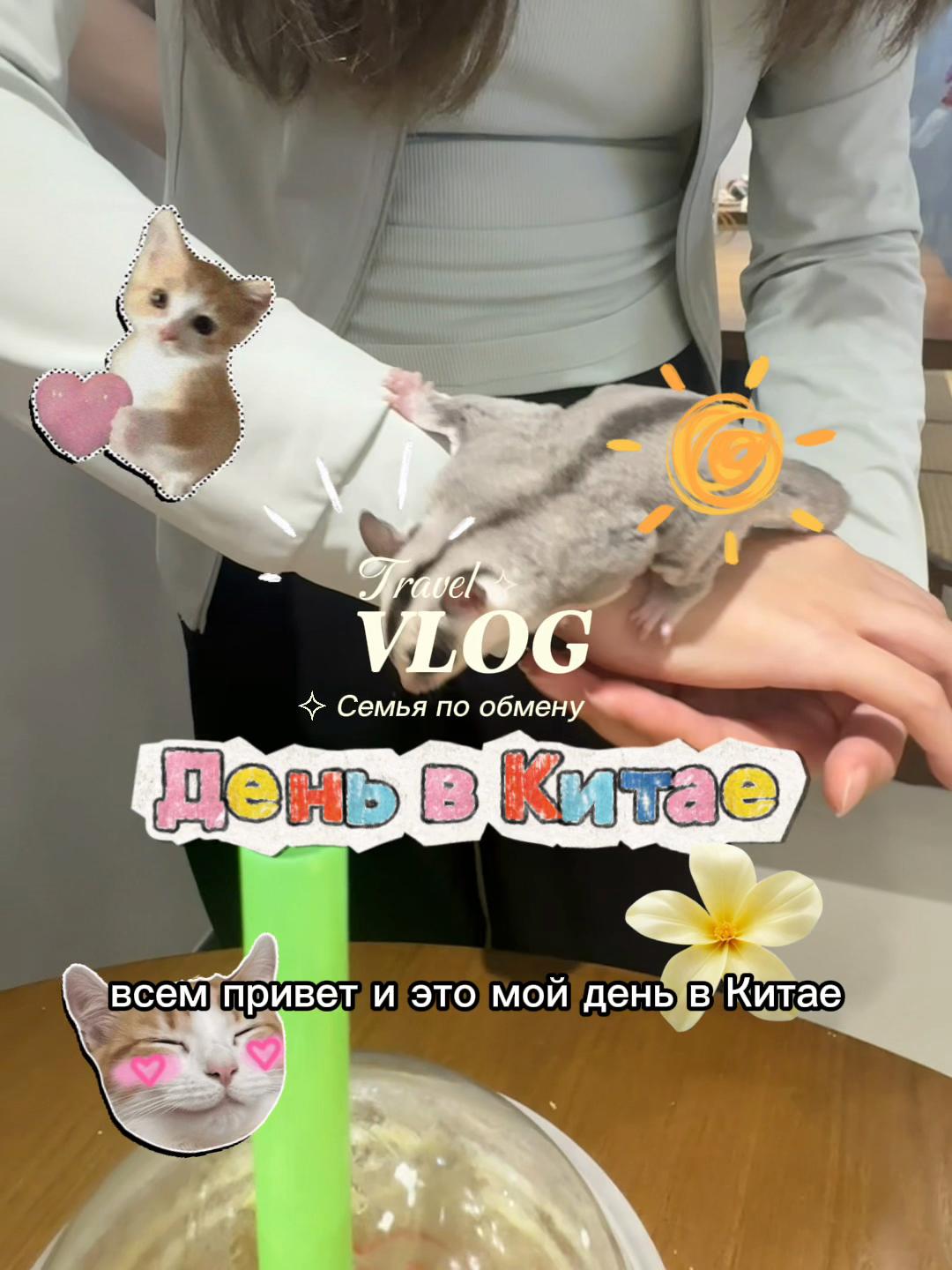 @sami.k000