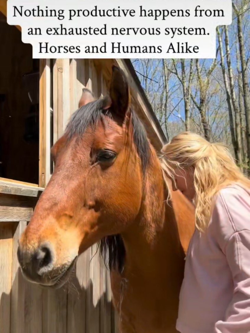 @streamhorse