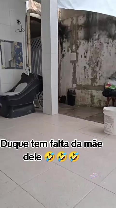 @Bartira &eacute; cultura 👆🙄