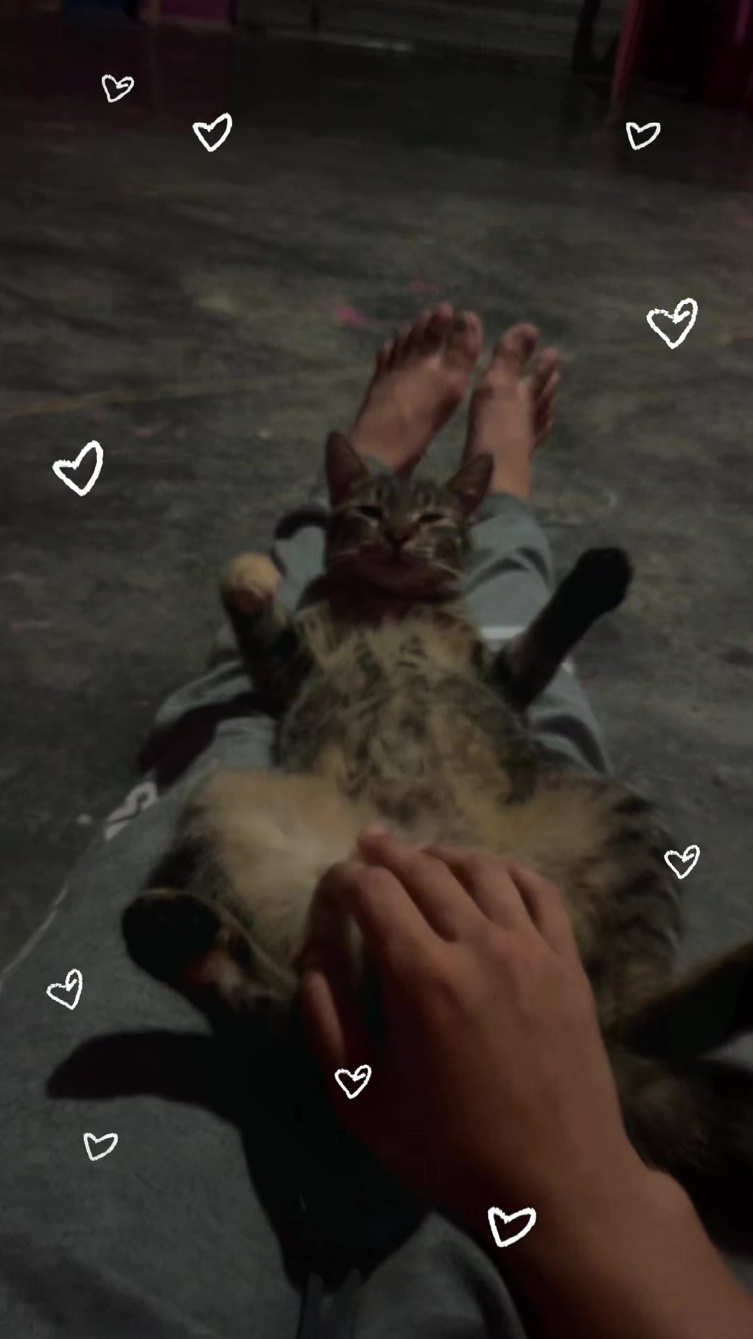 @Libeth_santana🧃
