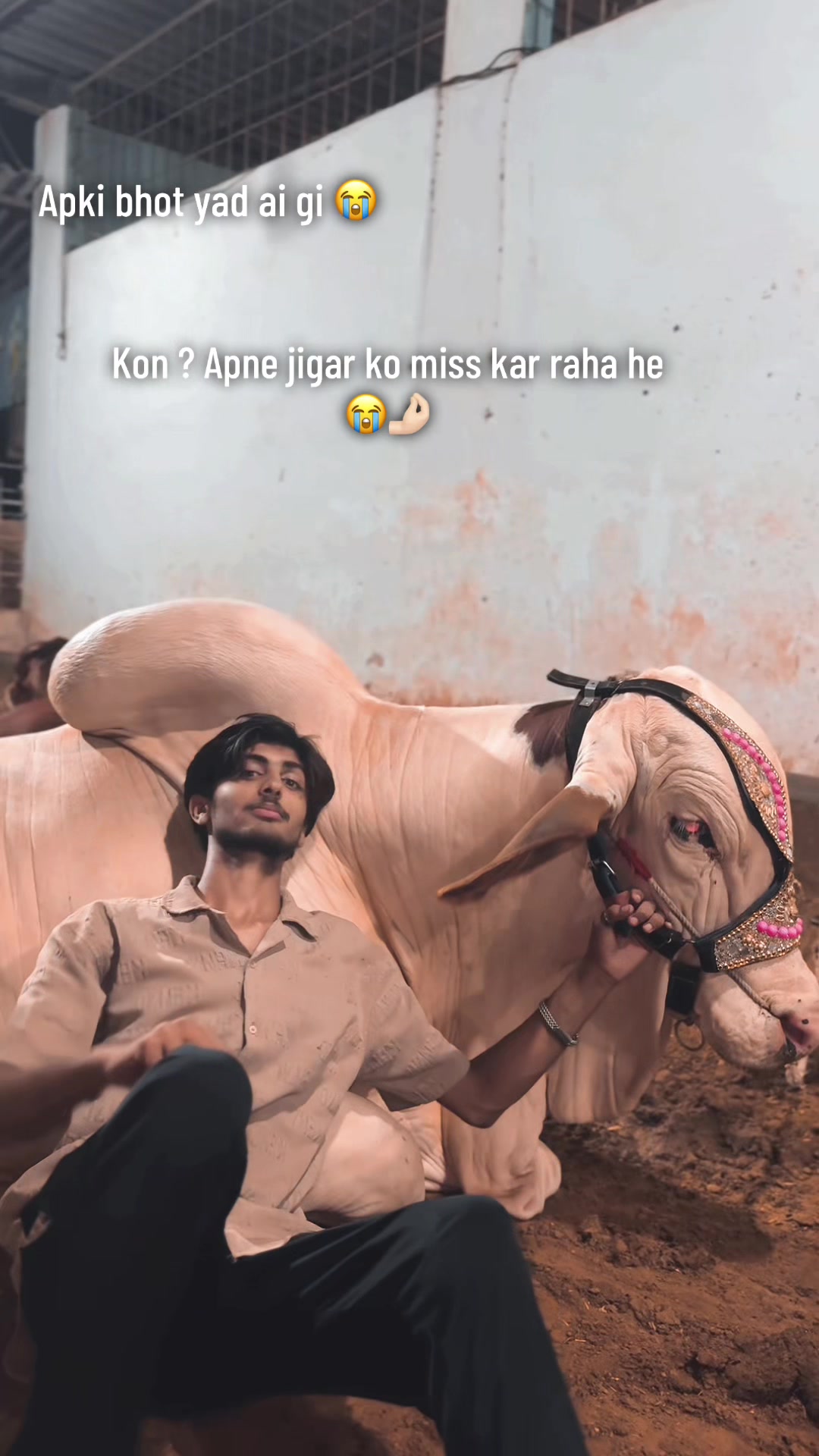 @Dani Rathore