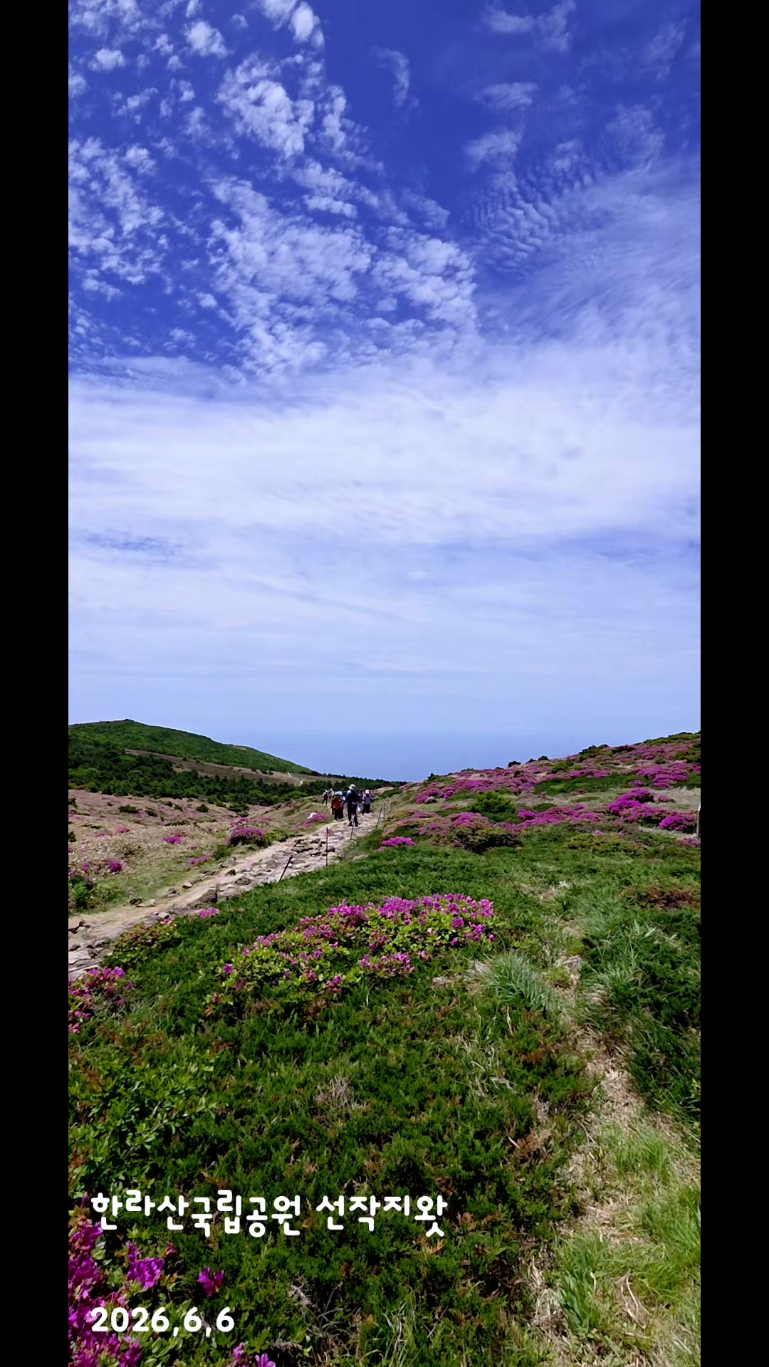 @참파