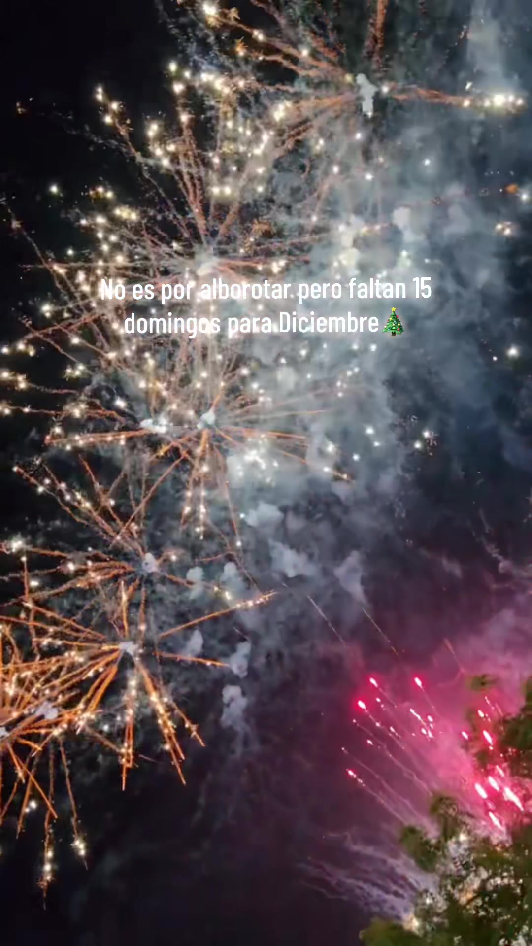 @Siempre Navidad