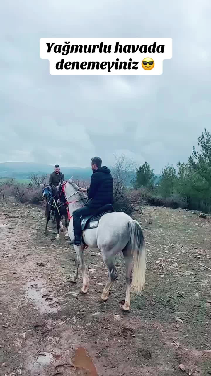 @Emre Kuş