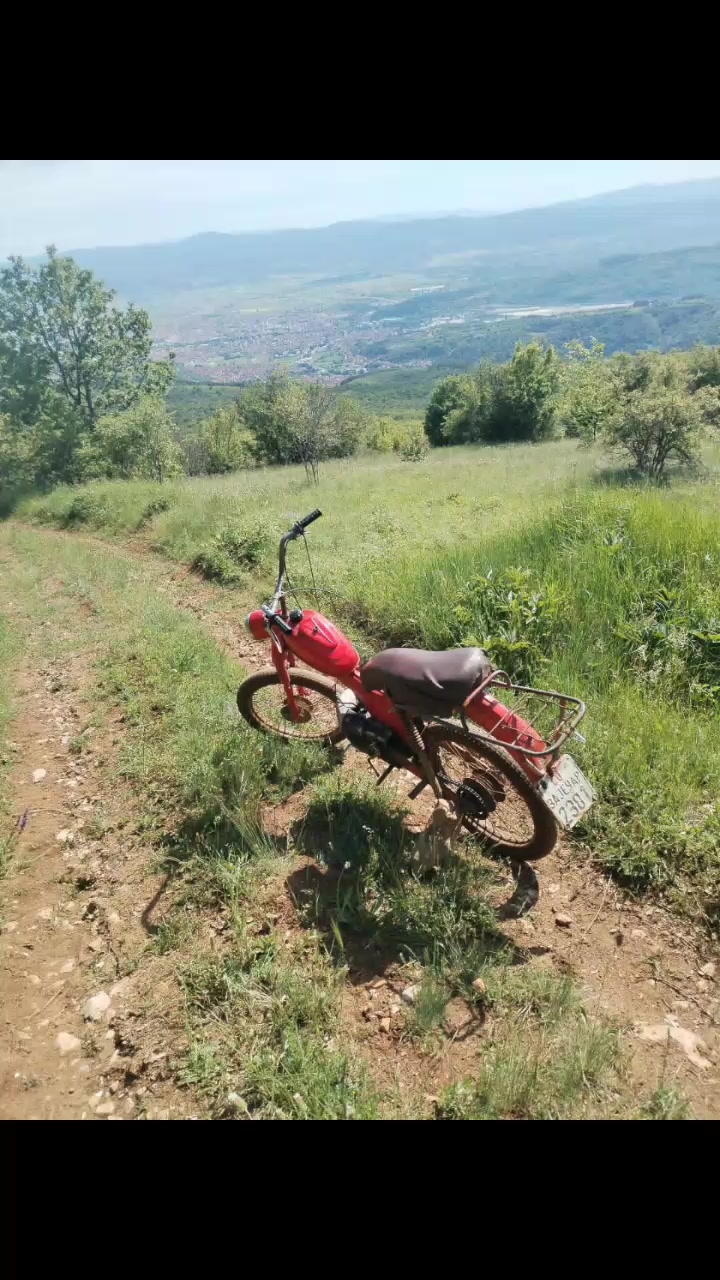 @aleksandar Stankovic