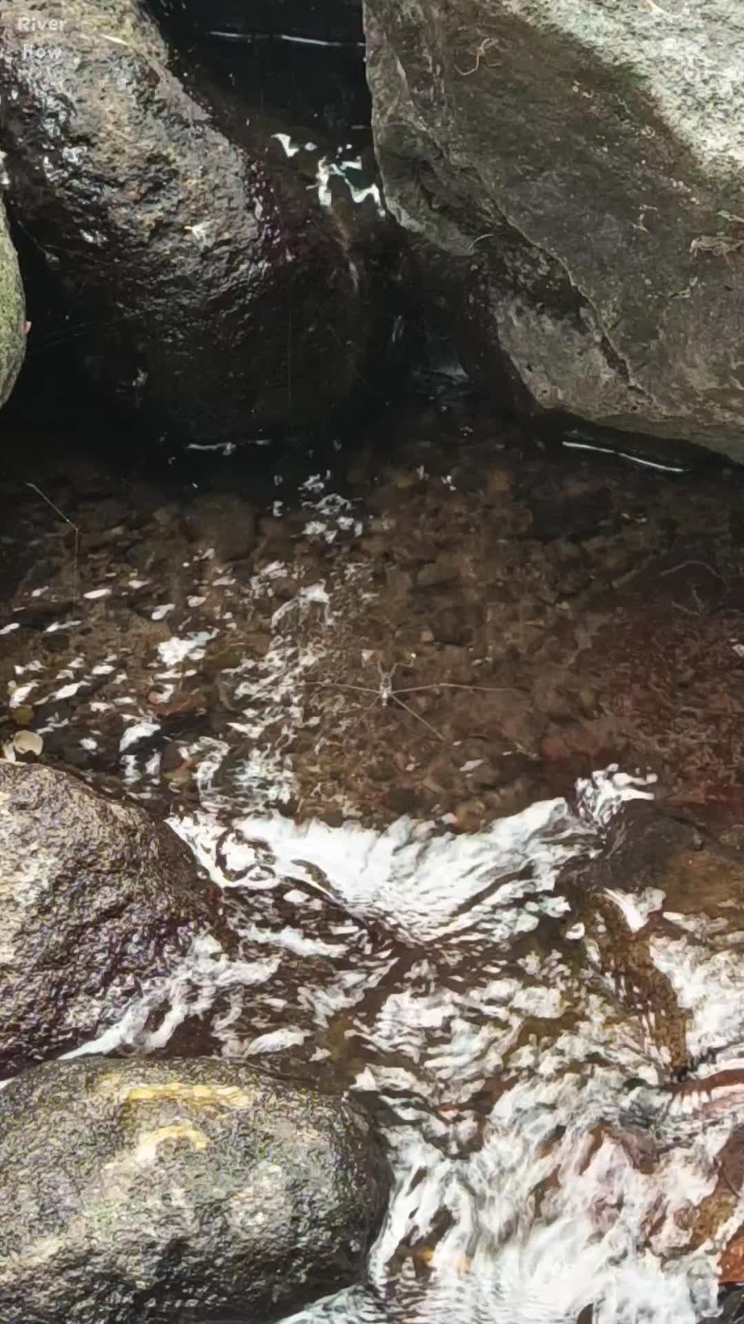 @River Flow